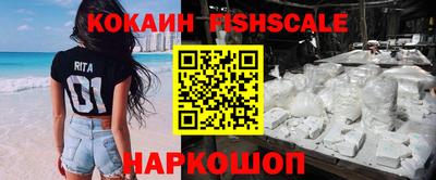 гашик Моздок