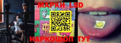 гашик Моздок