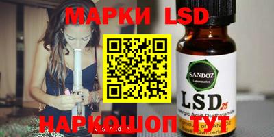 гашик Моздок