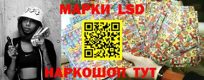 гашик Моздок
