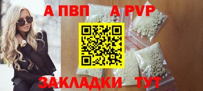 гашик Моздок