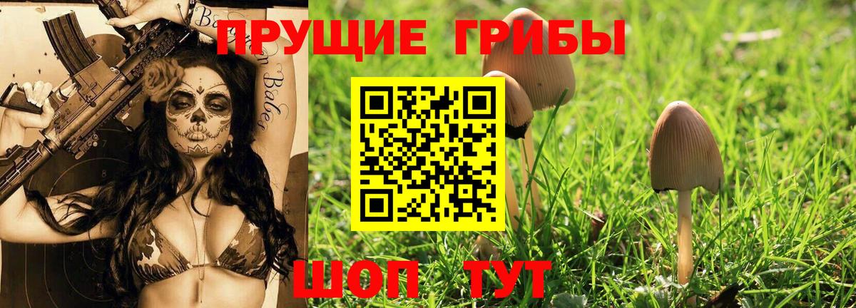 Трёхгорный  Псилоцибиновые грибы прущие грибы  Вход с VPN 